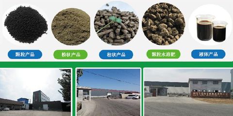 京陽生物致力打造大型純植物源有機肥生產基地，引領綠色農業新風尚