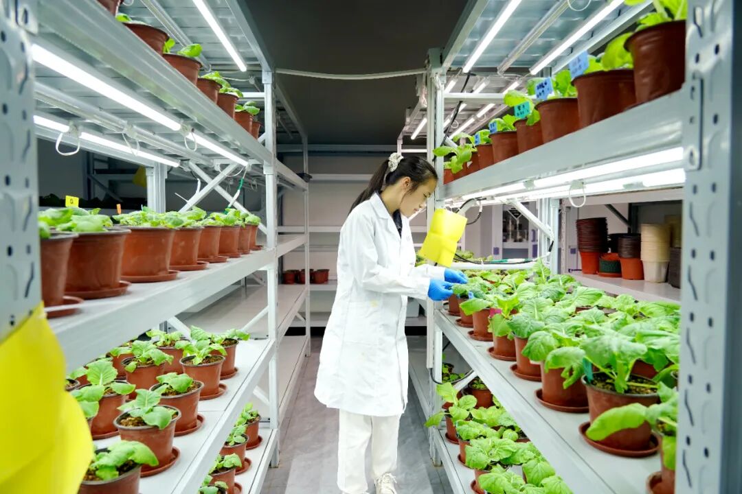 港北區(qū) 循環(huán)產(chǎn)業(yè)鏈賦能，打造有機(jī)無(wú)機(jī)‘糖蜜肥’生物有機(jī)肥新篇章